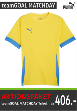 Puma Team Goal Matchday Trikots