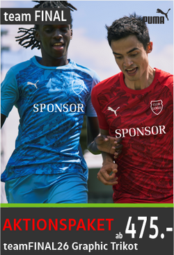 Puma Team Final 26 Graphic Trikots