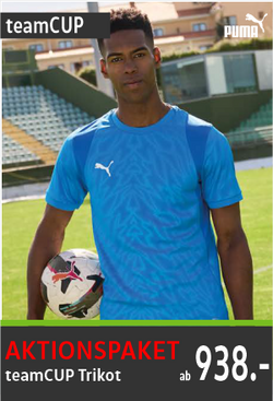 Puma Team Cup Trikots