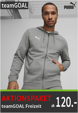 Puma Team Goal Freizeit