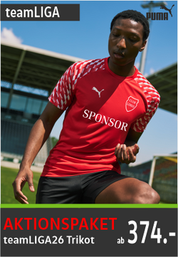 Puma Team Liga Trikots